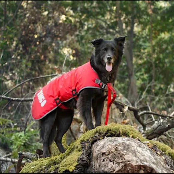 Kong Dog Nwt Kong Red Ripstop Dog Blanket Coat Medium Poshmark
